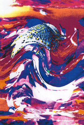 Uccello sulle onde